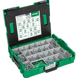 Spaxassortimentsboxplatkopschroeven2446